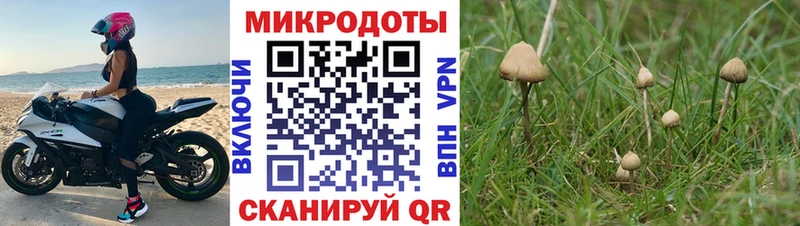 даркнет клад  Брюховецкая  Галлюциногенные грибы ЛСД  как найти наркотики  блэк спрут ссылка 